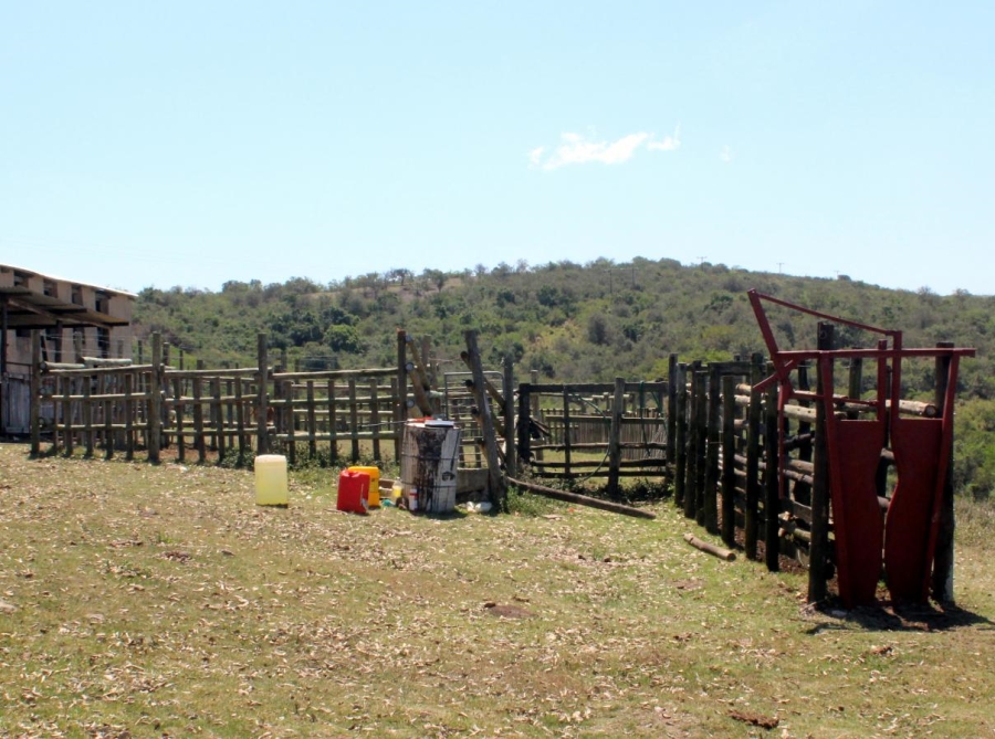 Commercial Property for Sale in Komga Rural Eastern Cape